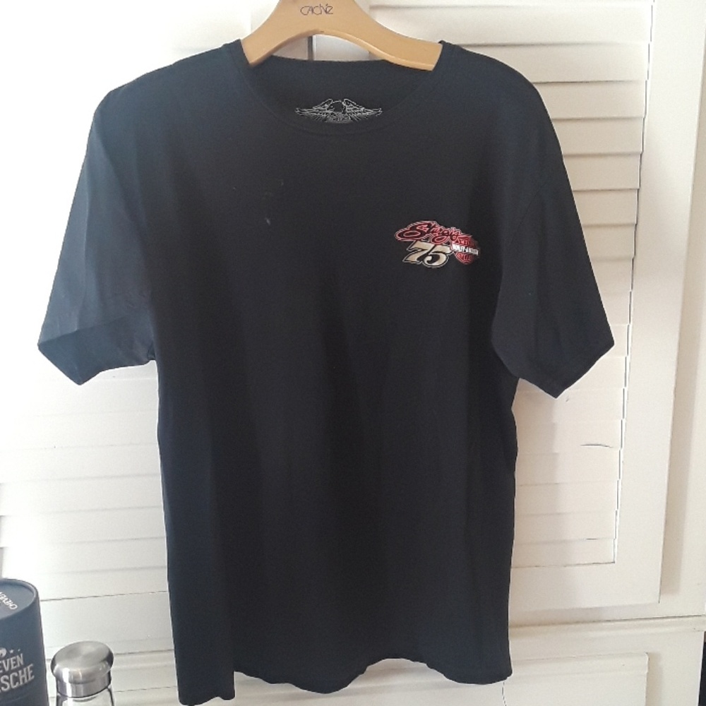 Harley Davidson Sturgis